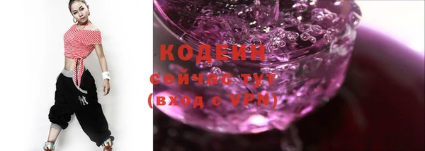 индика Янаул