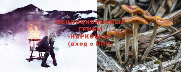 трава Яранск